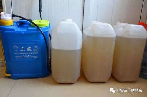 众志成城 抗击疫情 峡东公安在行动